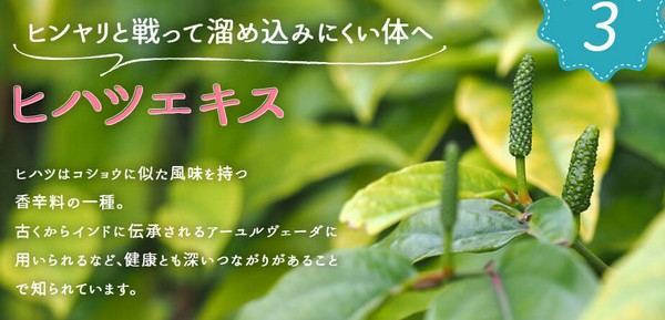 エンジェルオコレ
